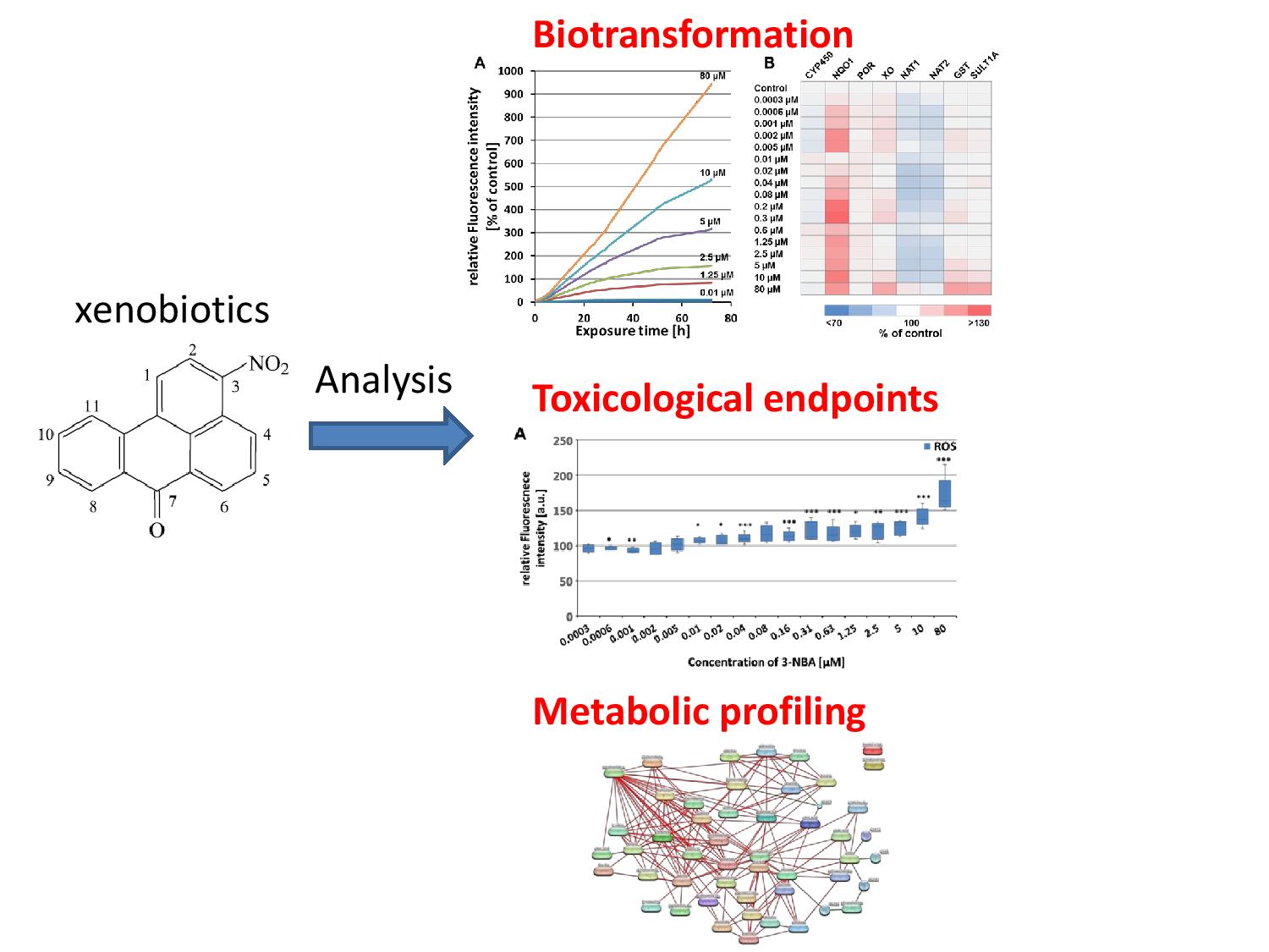 Biomarker in der Arbeitsmedizin